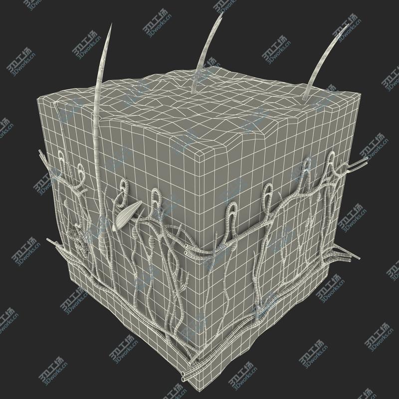 images/goods_img/202104093/Skin Section/4.jpg